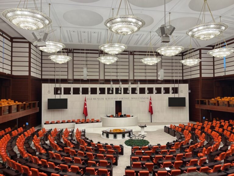 Kamu Hizmetlerinin Özelleştirilmesi: Yetki, Kamu Yararı ve İdari Denetimin Hukuki Çerçevesi